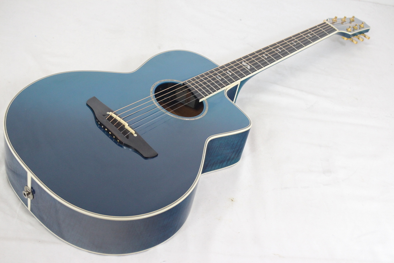 Takamine DSP-615（中古）【楽器検索デジマート】