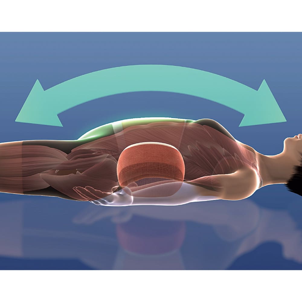 フィットネスクラブが作ったスタイリークッション 通販 - ディノス