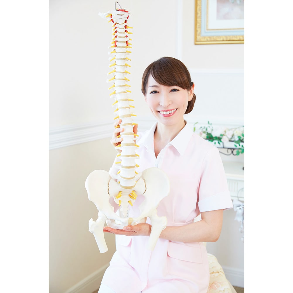 芦屋美整体 骨盤エアーリセットベルト 通販 - ディノス