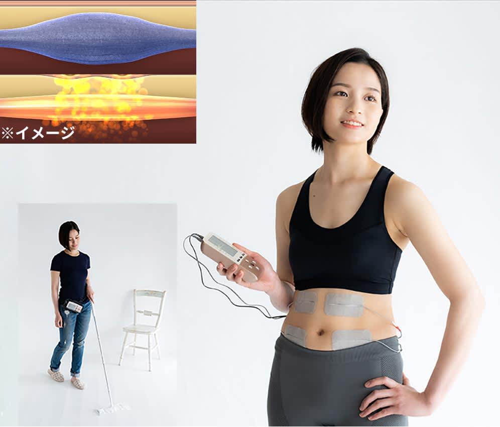 シェイプビート プレミアム 通販 - ディノス