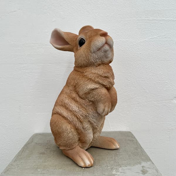 園芸ネット本店｜WooBia：見上げて立つベージュ白ウサギ（H12207-3