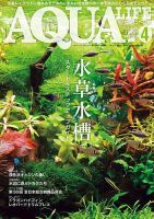 BE-KUWA（ビークワ）｜定期購読で送料無料