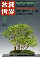 盆栽世界のバックナンバー (7ページ目 30件表示) | 雑誌/電子書籍/定期