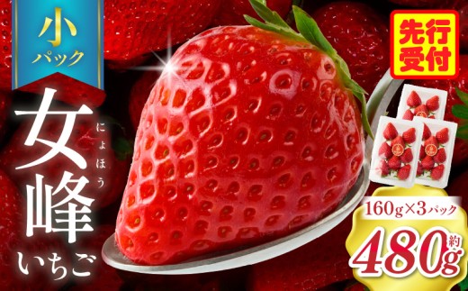 ギフト仕様】【高級】女峰いちご 24又は30粒入(800g以上) ≪ IDOMALL