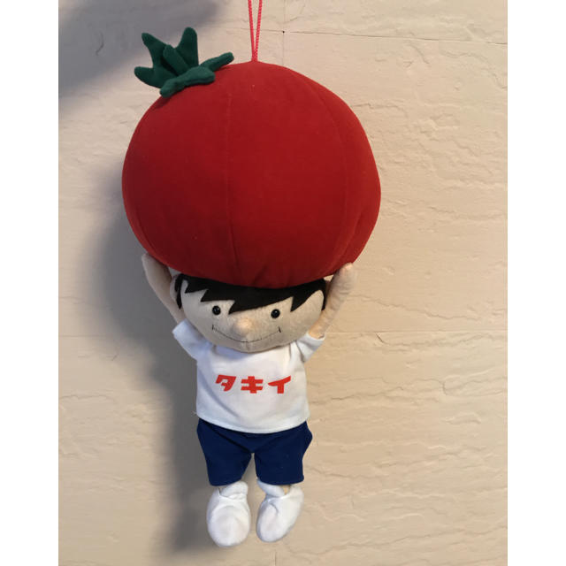 ぬいぐるみ 非売品 タキイ 種苗 マスコット タキットくん 入手困難 激