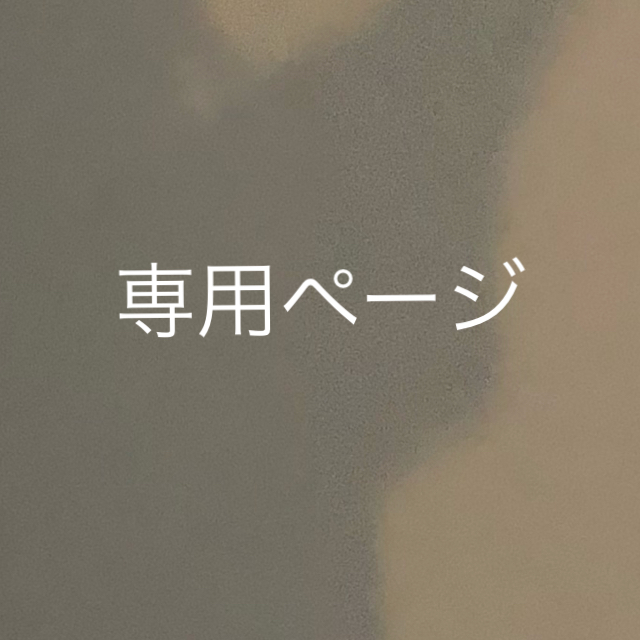 専用ページ 専用ページ 専用ページ（専用ページ （メルカリ専用ページ