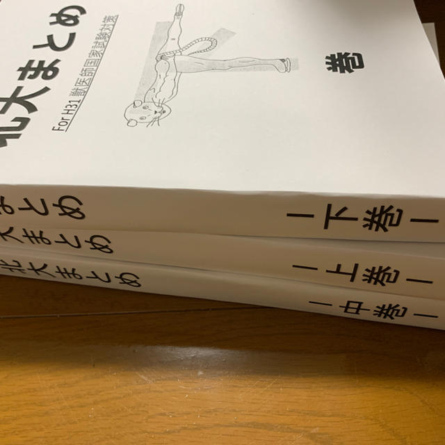くぅくん様専用 25日購入 北大まとめ 獣医師国家試験 対策の通販 by