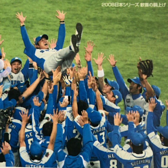 埼玉西武ライオンズ - 埼玉西武2009年【カルビープロ野球チップス