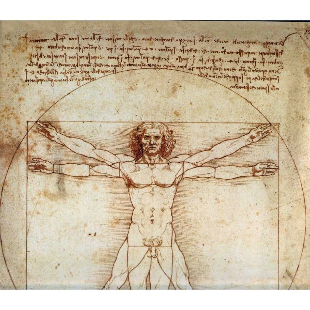 レオナルド・ダ・ヴィンチ全絵画作品・素描集 値下げしましたの通販 by