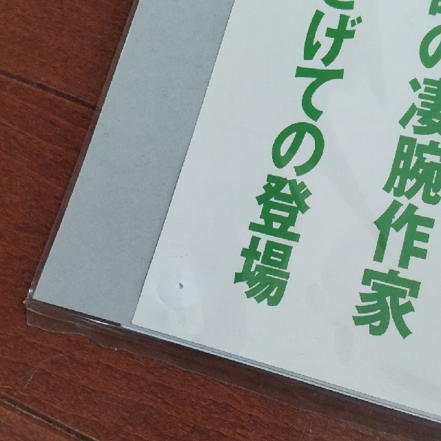 ダ・ヴィンチ ポスター スピッツ 草野マサムネ表紙 1996年6月号の通販