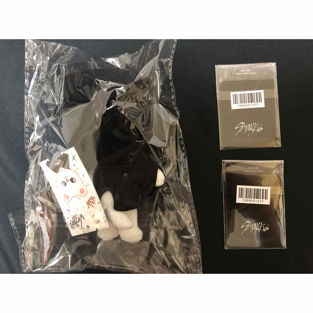 Stray Kids - Stray Kids SKZOO ぬいぐるみ&JYP特典トレカ ヒョンジン