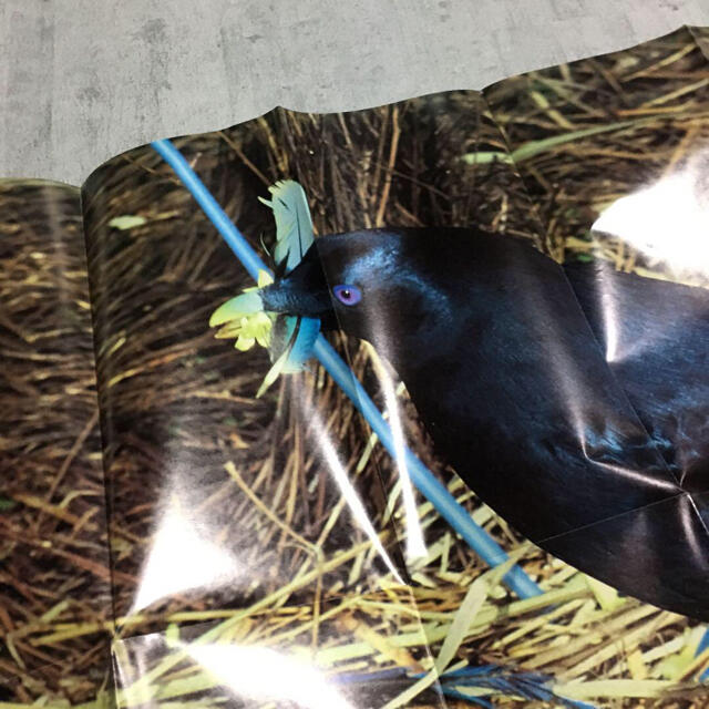 COMME des GARCONS - 90年代 コムデギャルソン ポスターの通販 by