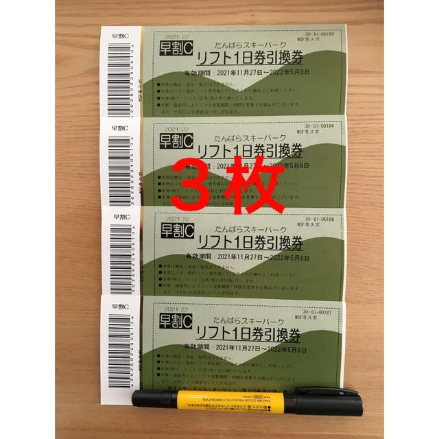 川場スキー場 リフト1日無料券 2枚ペア リフト券 群馬県 川場