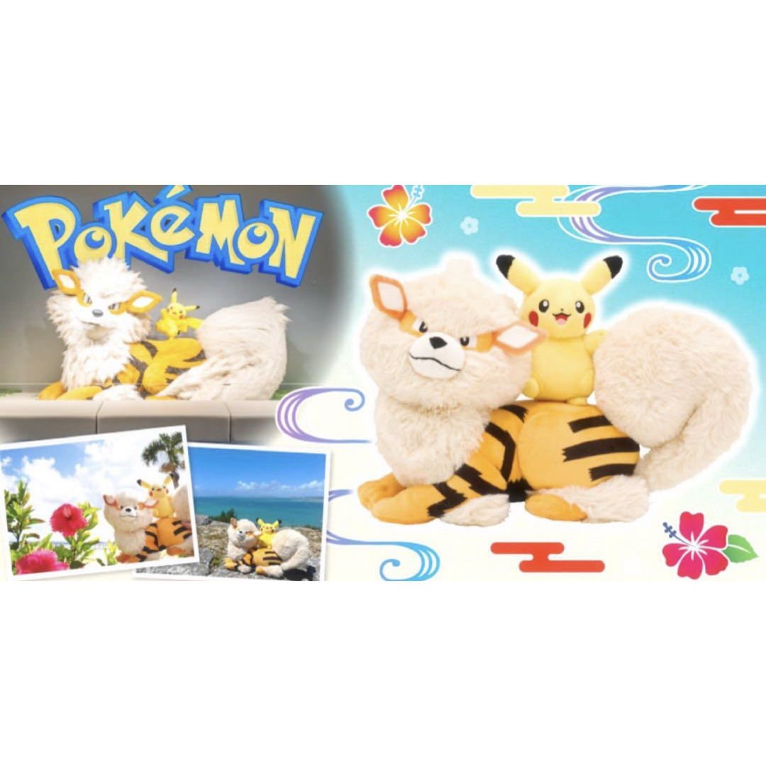 ポケモン - ウィンディ ピカチュウ 沖縄 ポケモンセンター 1周年 記念