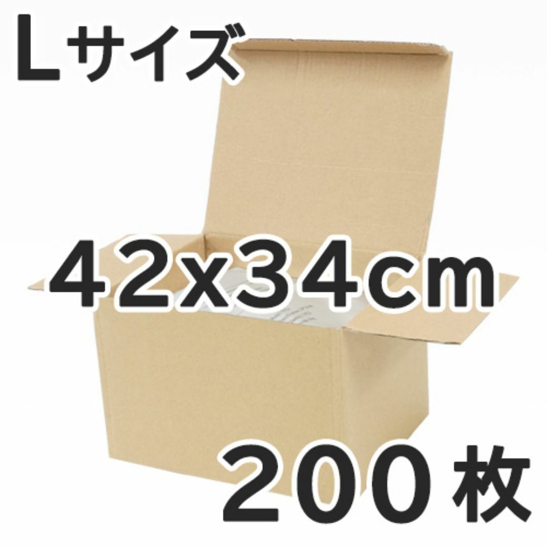 50枚Lサイズ脂肪冷却シート 小売 【Lサイズ50枚】脂肪冷却用保護シート
