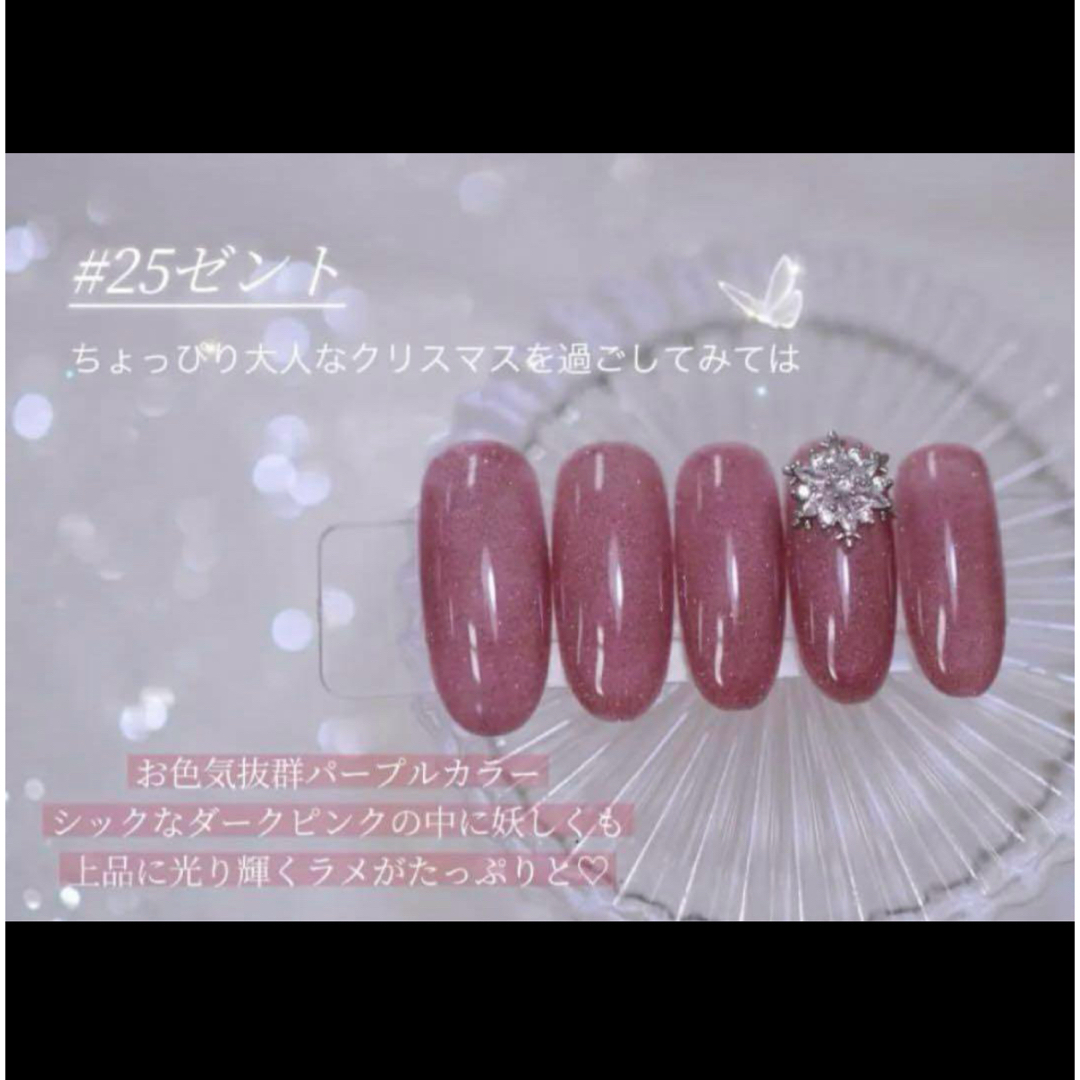 マオジェル 2024 最新 クリスマス コフレ pre sent マオネイルの通販