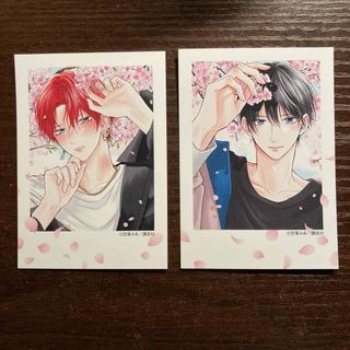 2531478258.jpg?1742107901