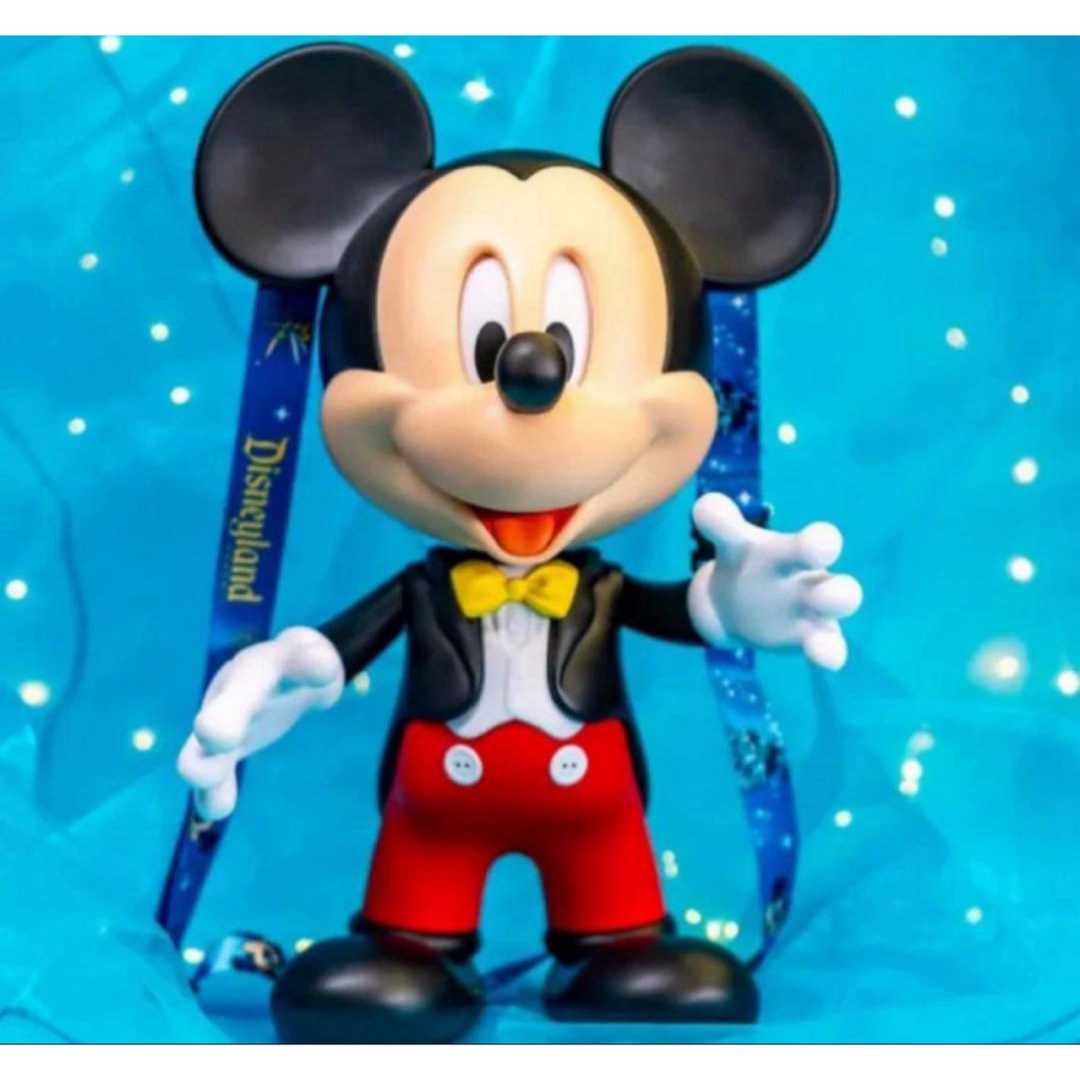 ディズニーランド 70周年 ポップコーンバケット アナハイム 海外限定