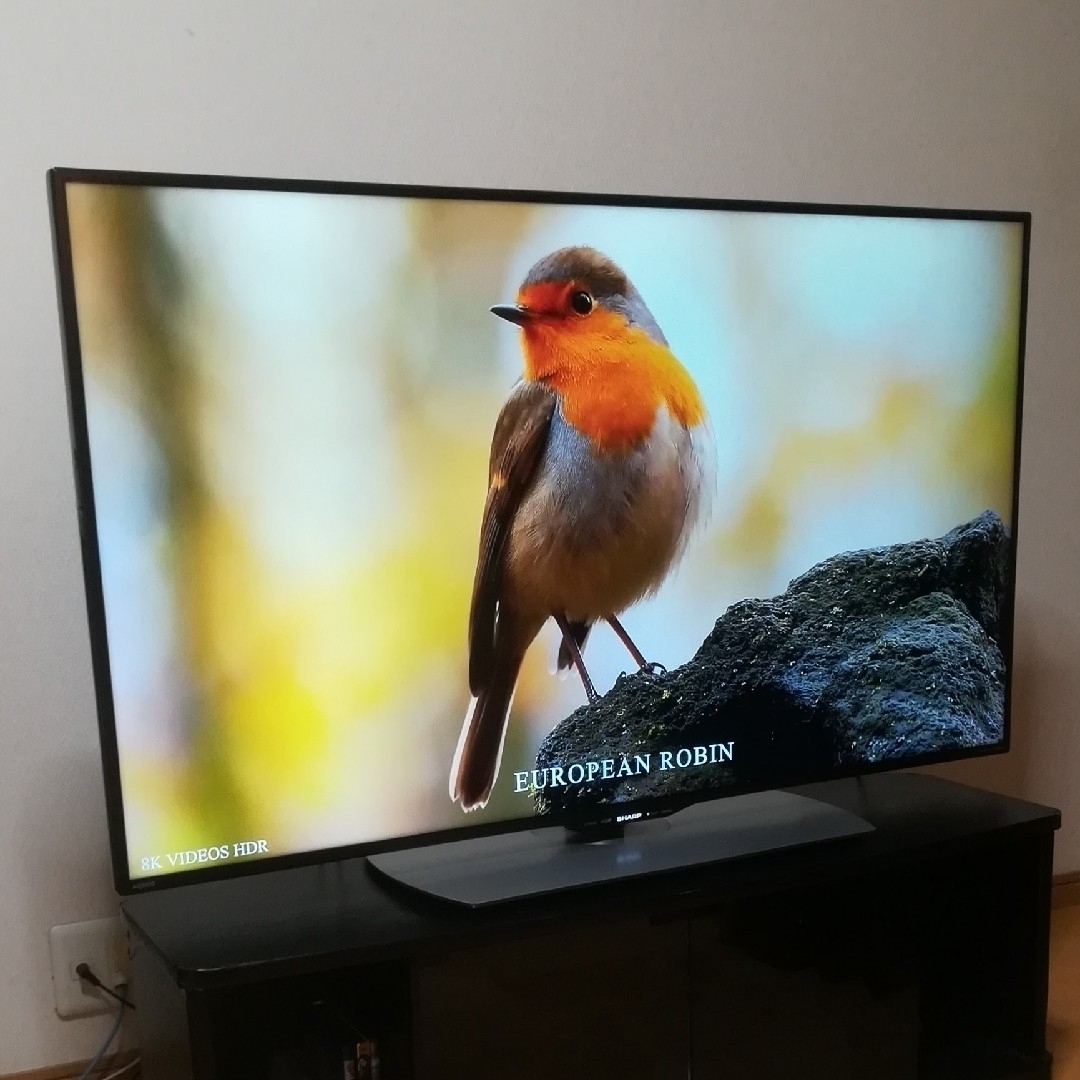 MAKOさん専用】Netflix、YouTube SHARP 50型液晶テレビ