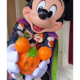 2356407894.jpg?1724723197