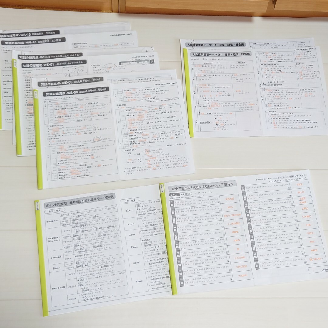 専用 SAPIX サピックス6年 社会 暗記全網羅 中学受験 地理•歴史•公民の