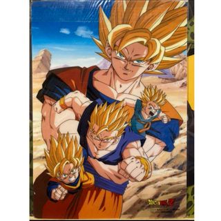 2437711730.jpg?1732375098