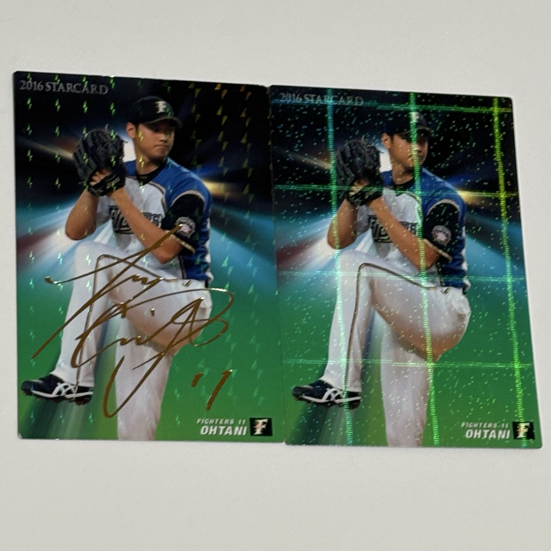 北海道日本ハムファイターズ - 2016日ハム【カルビープロ野球チップス