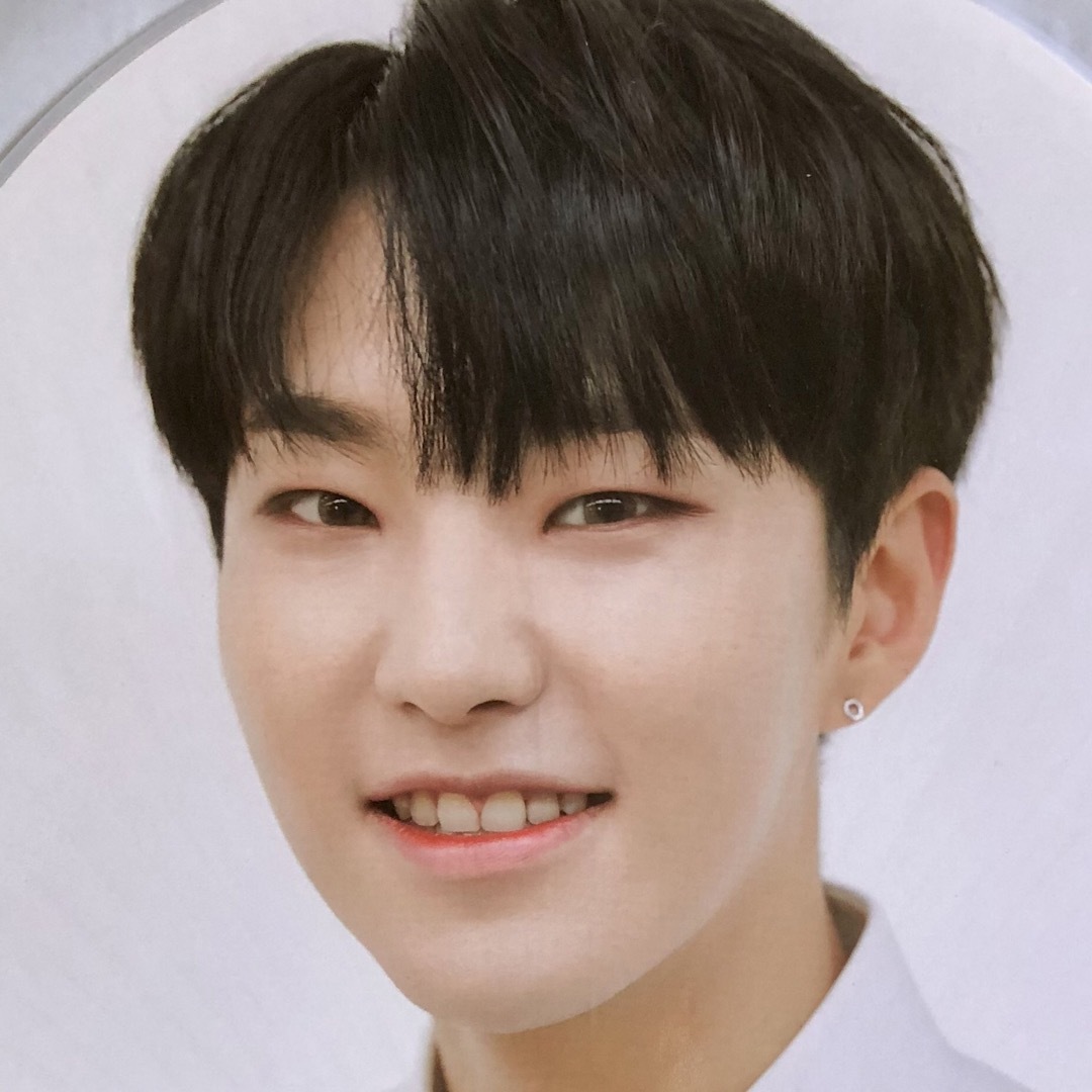 SEVENTEEN - 【セブチ 未使用 うちわ】ホシ エッジコン ソウル