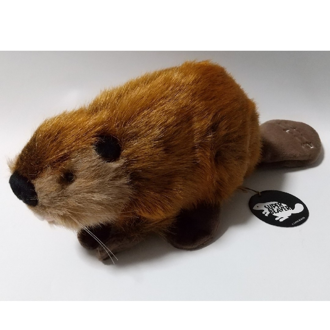 SUPER BEAVER スーパービーバー ビーバーちゃん＆空き缶の通販 by 筆記