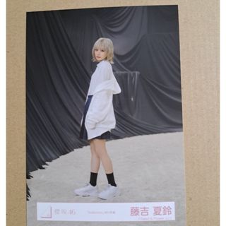 2620583257.jpg?1751154359