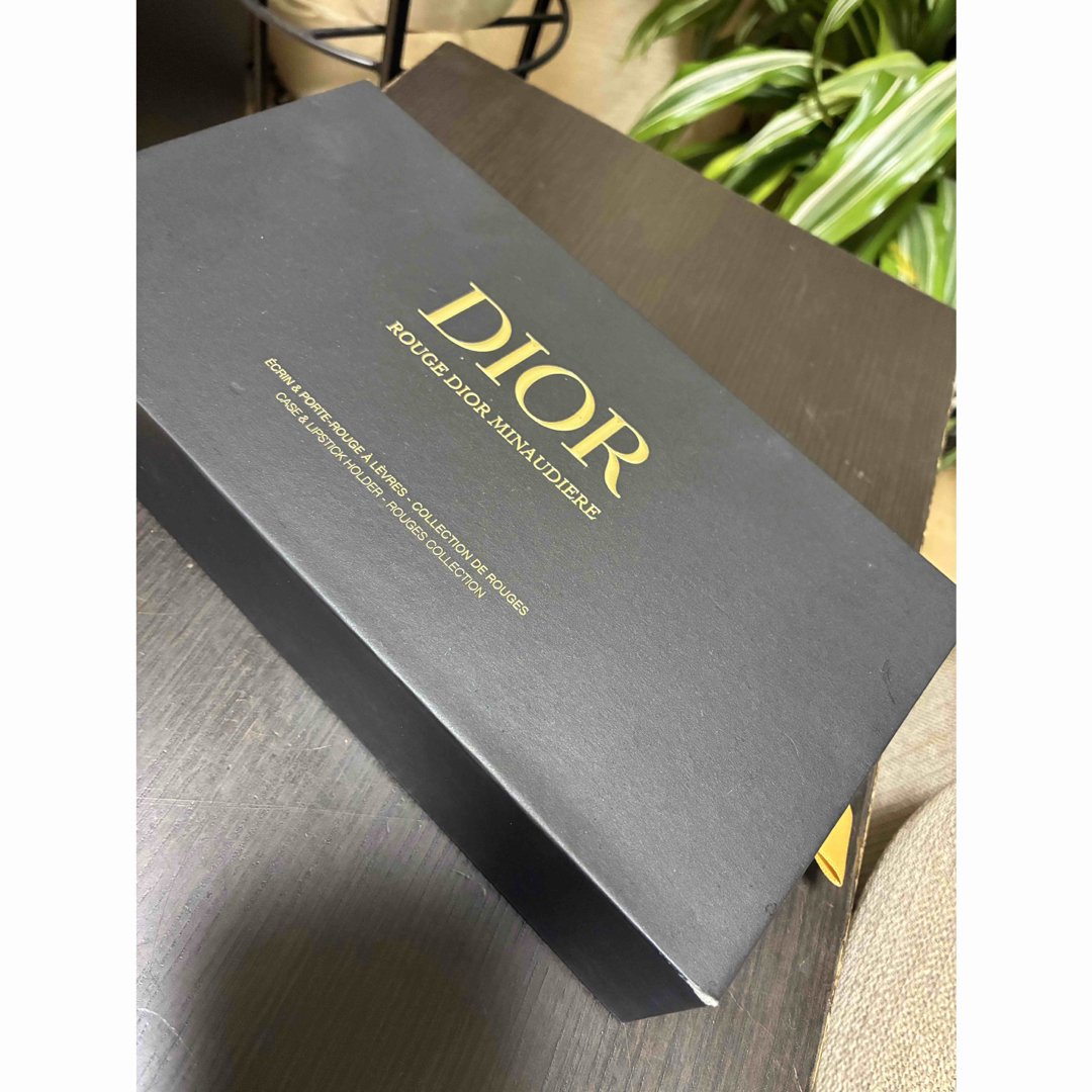 Christian Dior - ルージュディオール ミノディエール Diorリップ4色