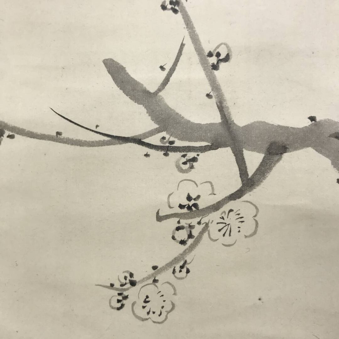 真作/寺崎廣業/寺崎広業/白梅図/梅花/横物/春/花鳥図/掛軸