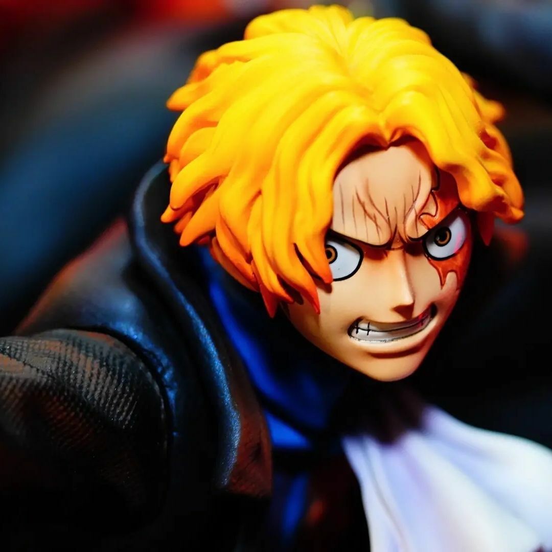 ワンピース 革命軍 サボ ガレージキット フィギュア スタチュー 塗装