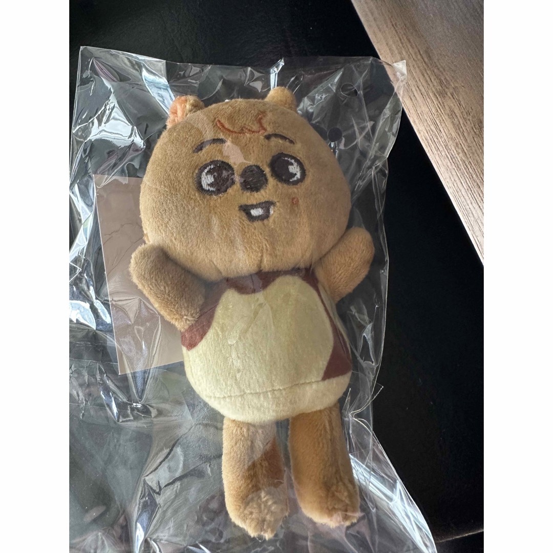 Stray Kids - スキズ SKZOO straykids ハンジソン クオッカ バッグ