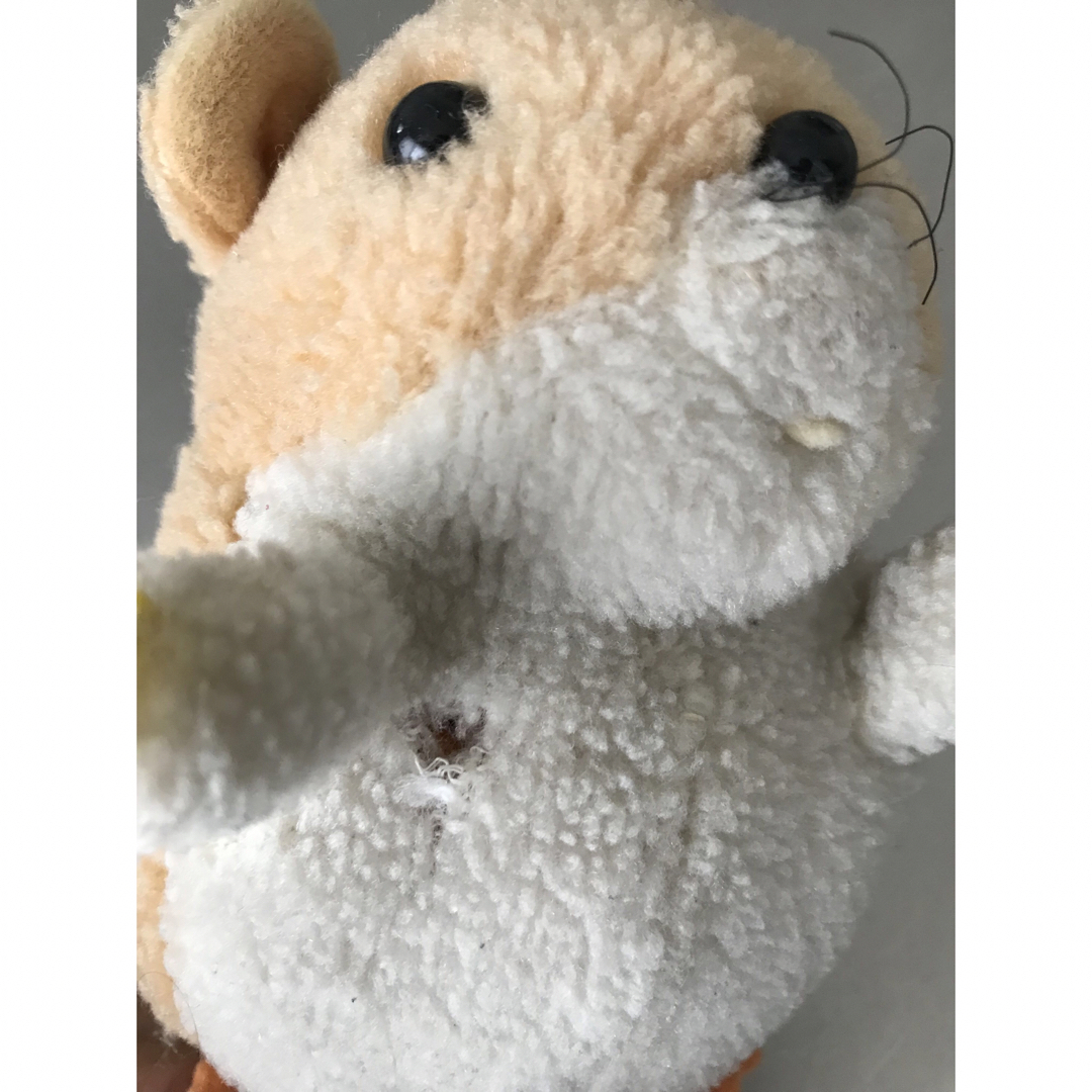 ポピー 南の虹のルーシー わんぱくモッシュ 人形のみの通販 by ho**ri