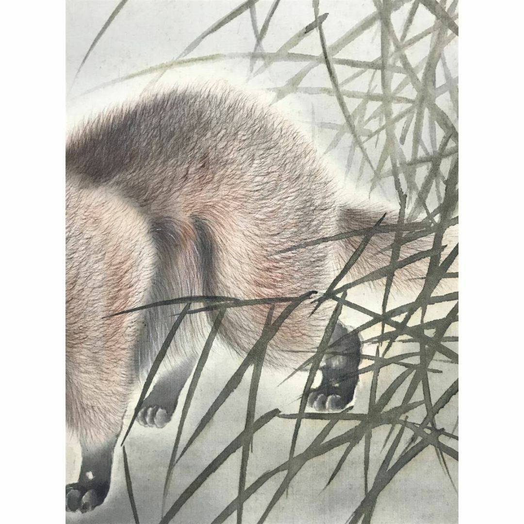 真作】清/月下狸図/タヌキ図/狸図/花鳥図/掛軸☆宝船☆AD-14の通販 by
