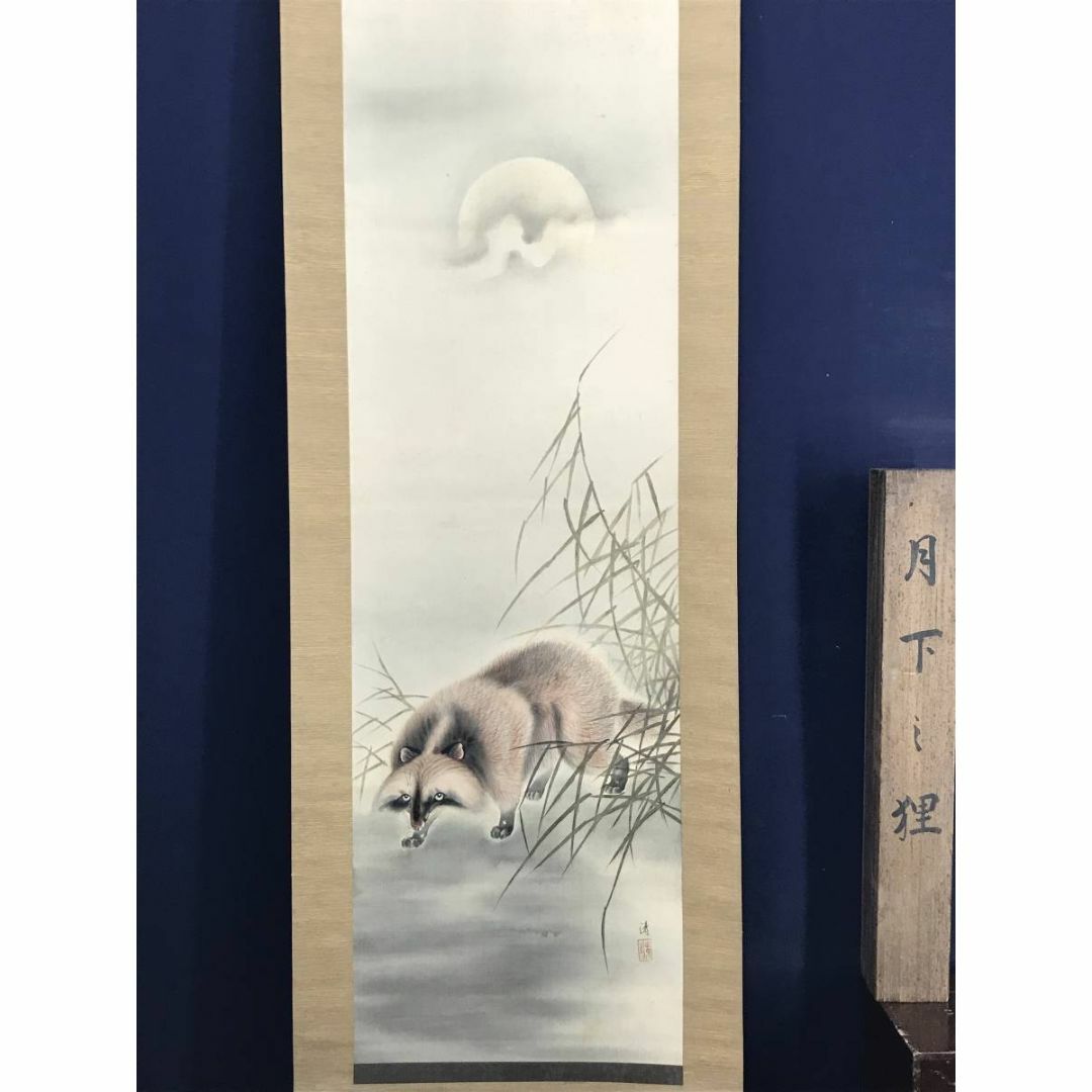 真作】清/月下狸図/タヌキ図/狸図/花鳥図/掛軸☆宝船☆AD-14の通販 by