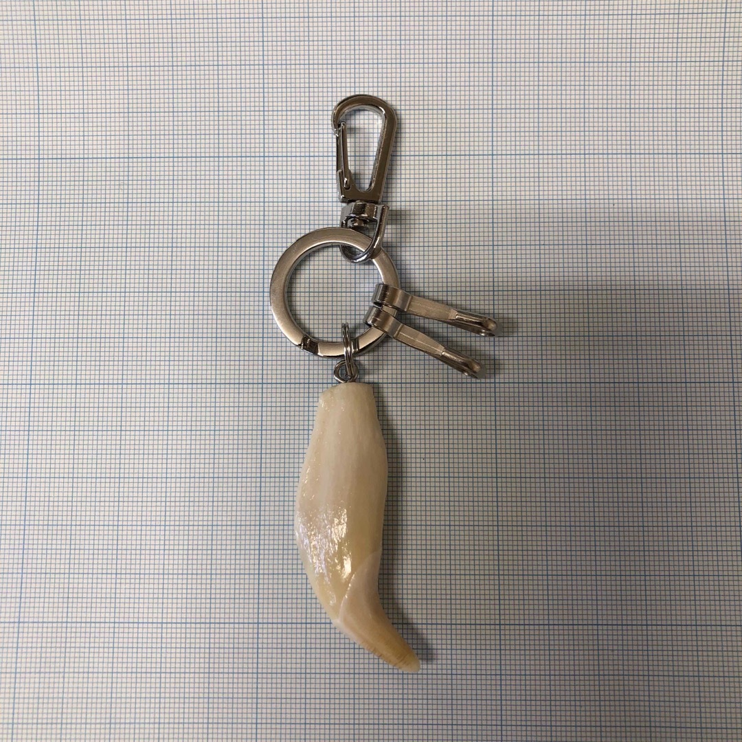 熊の牙（No.1）の通販 by 山のクマさんʕ•ᴥ•ʔ｜ラクマ