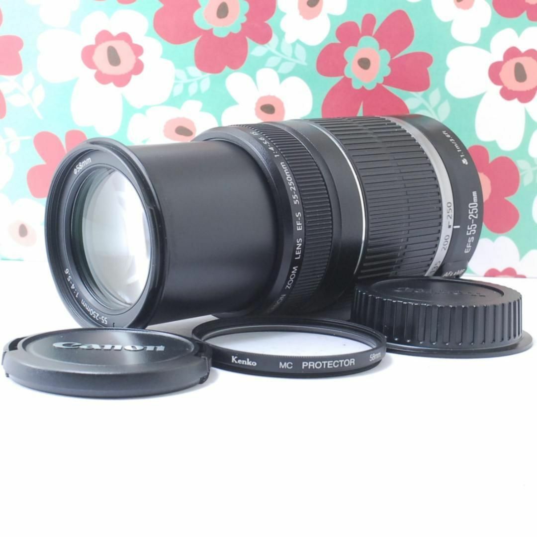手ぶれ補正レンズ Canon EF-S 55-250㎜ F4-5.6 IS 【公式通販】