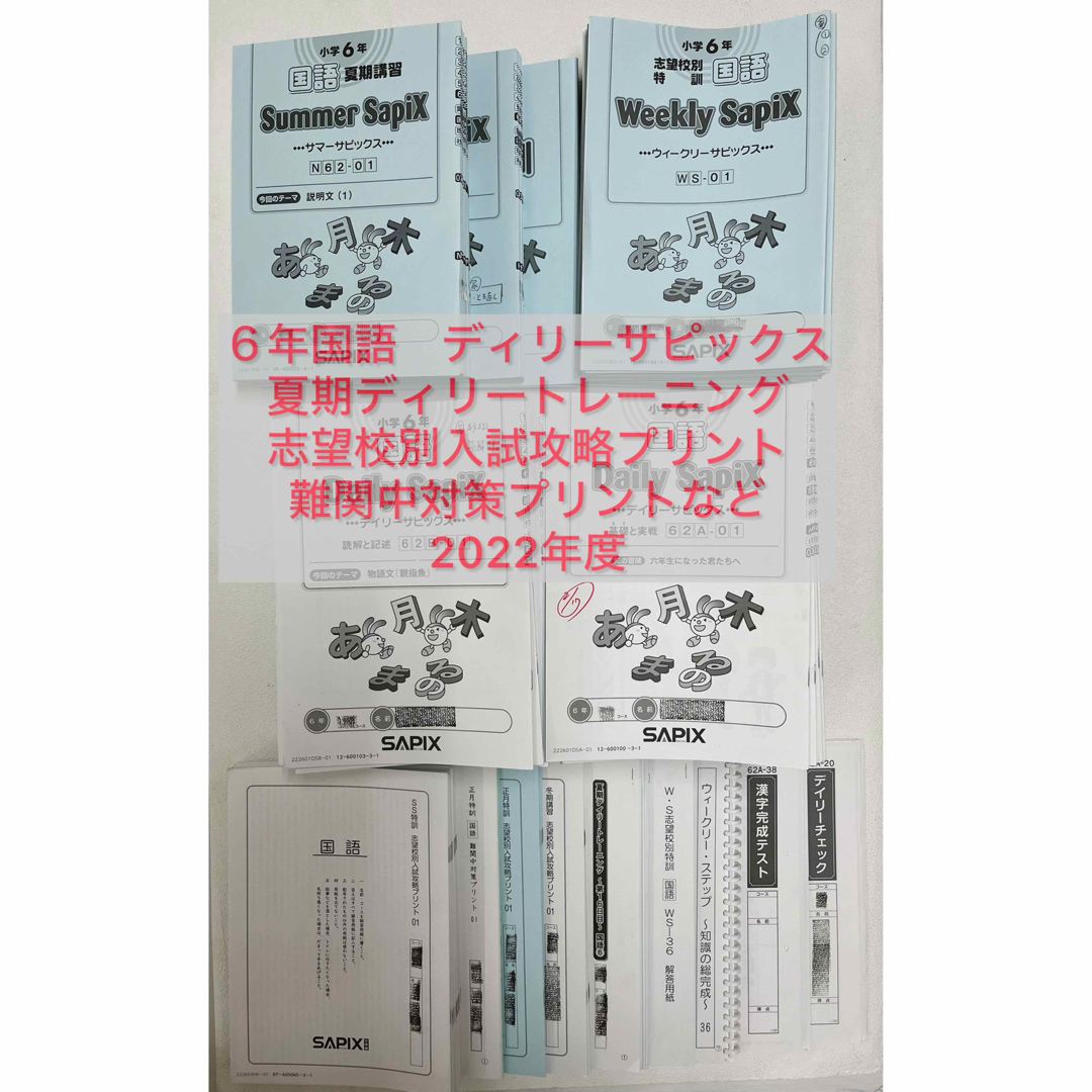 SAPIX デイリーサピックス 6年国語 1年分 2022年度テキスト・プリント