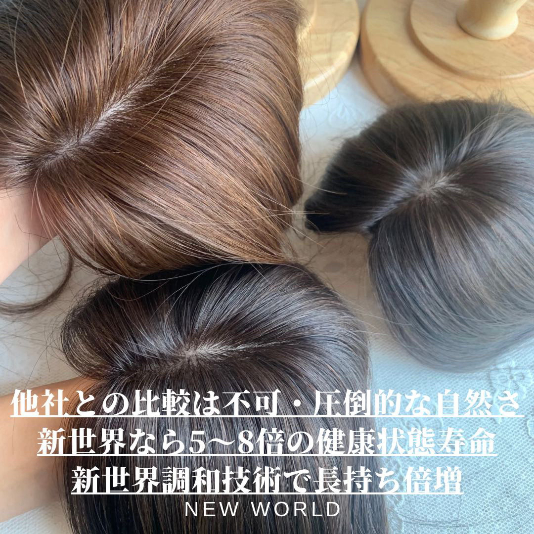 真2025新世界レミー100% ウィッグ ヘアピース シルクスキン 部分