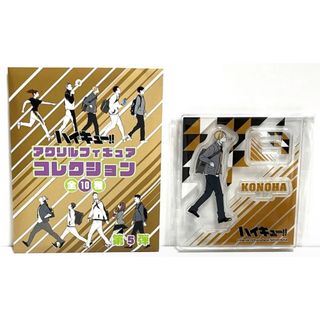 2284239437.jpg?1717641952