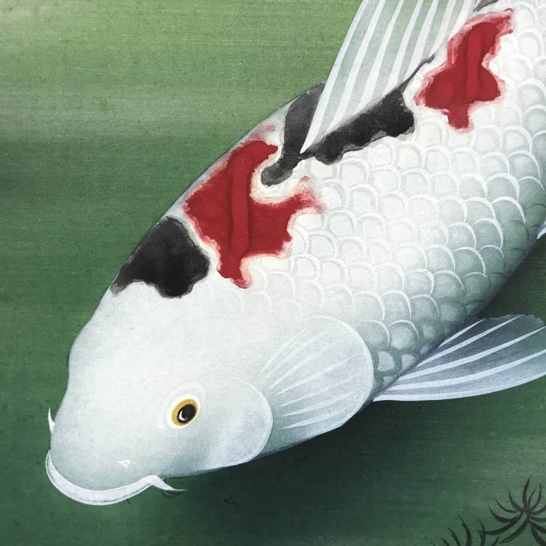 真作/國井幸雪/游鯉図/遊鯉/松鯉/花鳥図/掛軸☆宝船☆AK-630 真作/國井