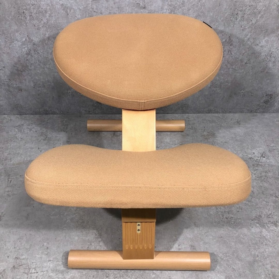 大人気 サカモトハウス バランスイージー バランスチェア バランスラボ