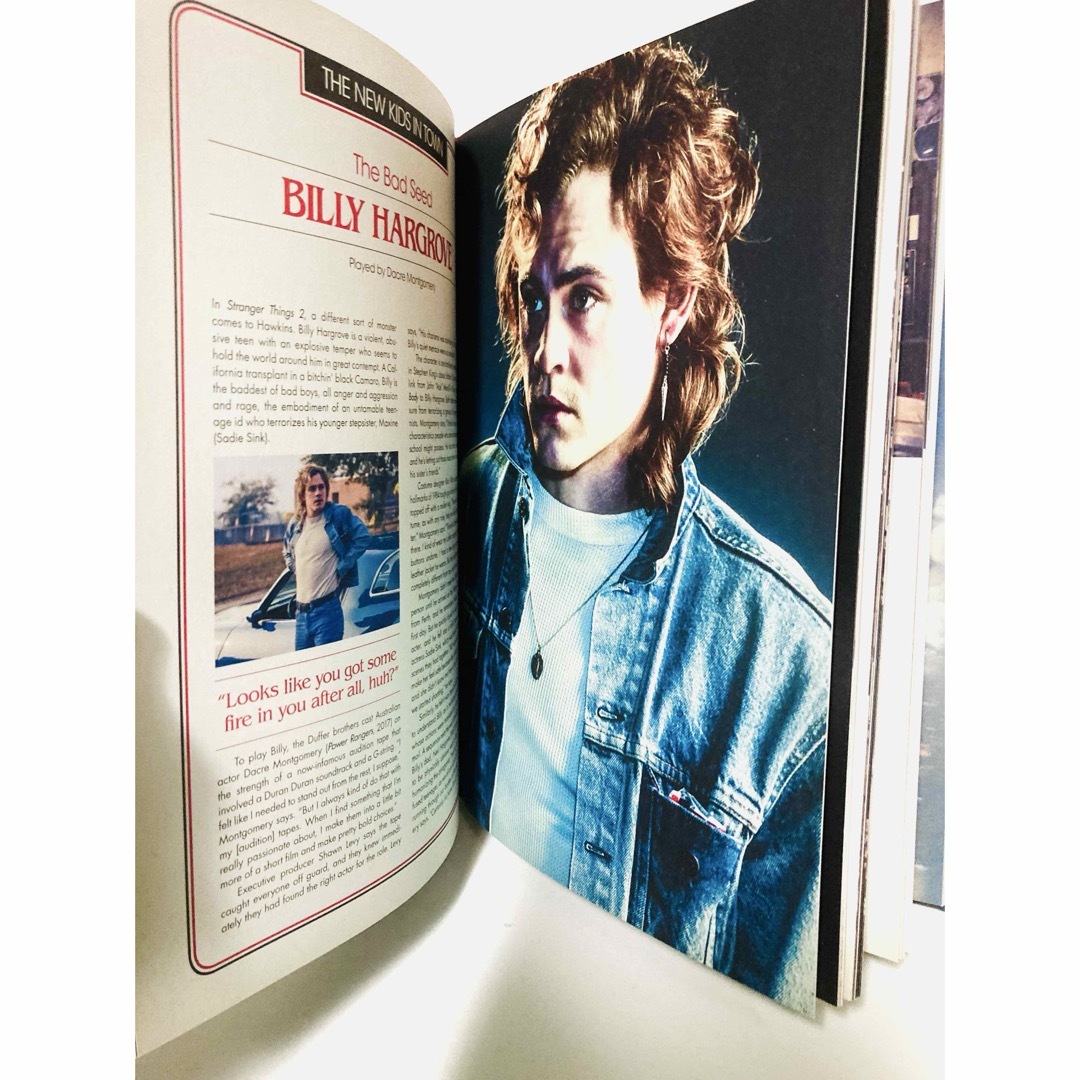 絶版本】希少『ストレンジャーシングス』ガイドブック／公式図録／洋書