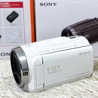 SONY - SONY デジタルビデオカメラ ハンディカム FDR-AX45(TI)の通販