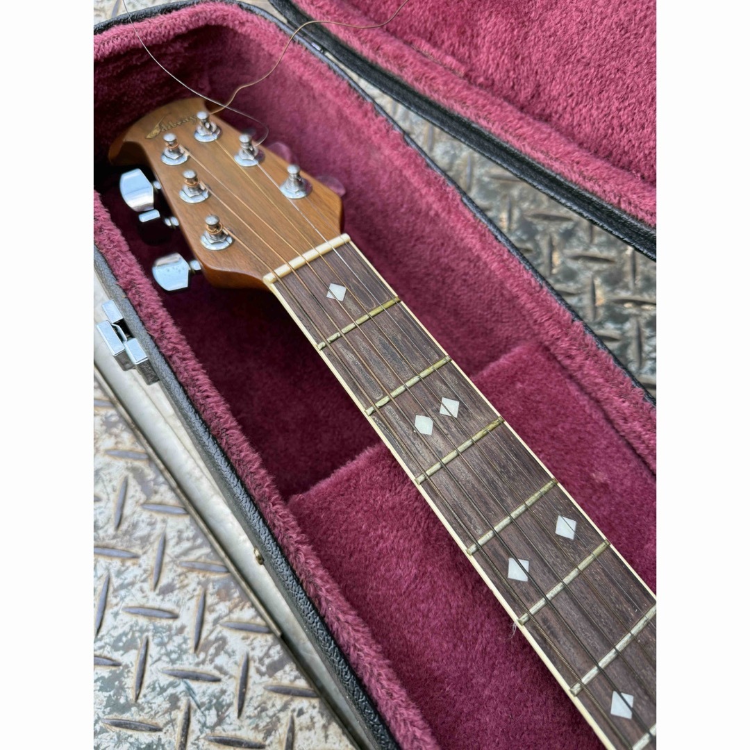 Ovation - Ovation エレアコ Celebrity CC57 （ケース付き）の通販 by