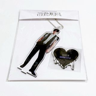 SEVENTEEN - 【ジョシュア】seventeen follow to japan ストラップの