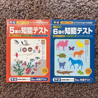 四谷大塚 予習シリーズ 社会 小4上 テキスト・演習問題集 セットの通販