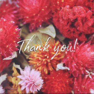 ちゃれんじえん みみりん しまじろう 先生の通販 by もも's shop｜ラクマ